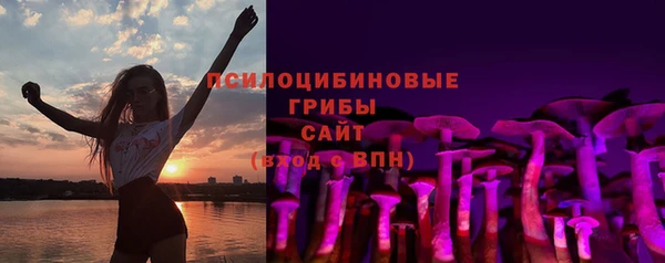 гашик Липки