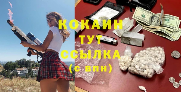 гашик Липки