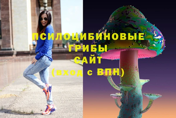 гашик Липки