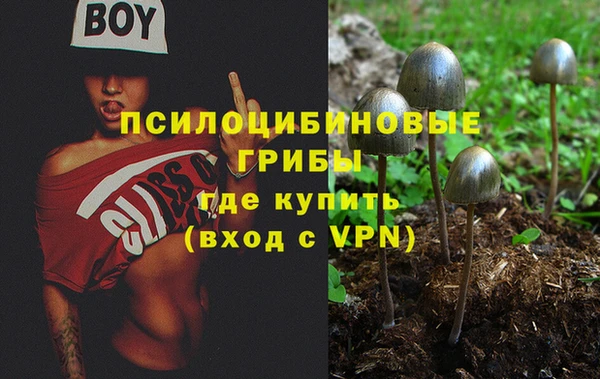 гашик Липки
