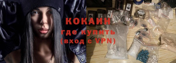 гашик Липки