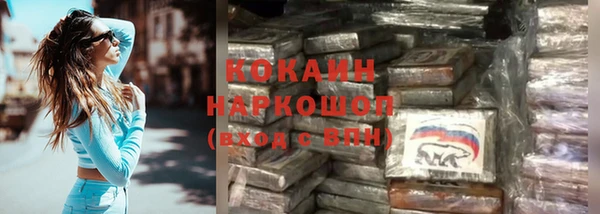 гашик Липки